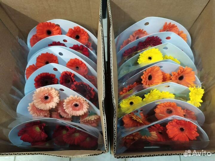 Цветы. Букеты. Доставка