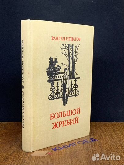 Большой жребий