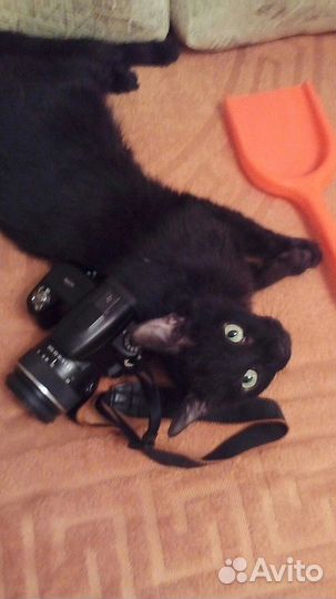 Фотоаппарат sony