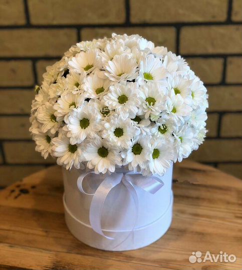 Цветы ромашки хризантемы