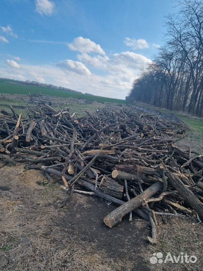 Продаю дрова