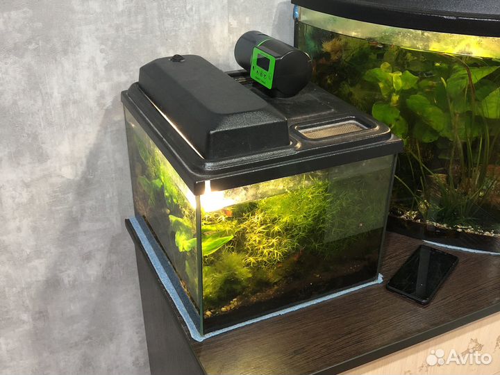 Аквариум в сборе