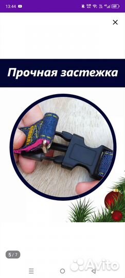 Ошейник, поводок, шлейка