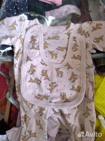 Боди комплект 56