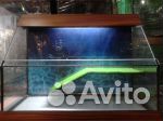 Аквариумы для черепах