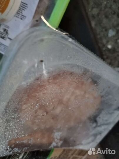 Корм для животных