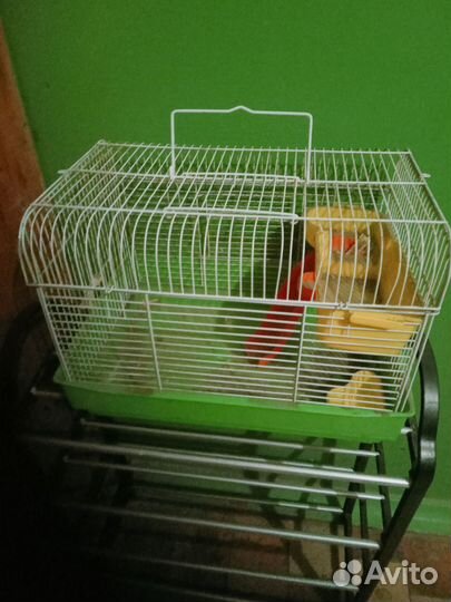 Клетки разные поильники