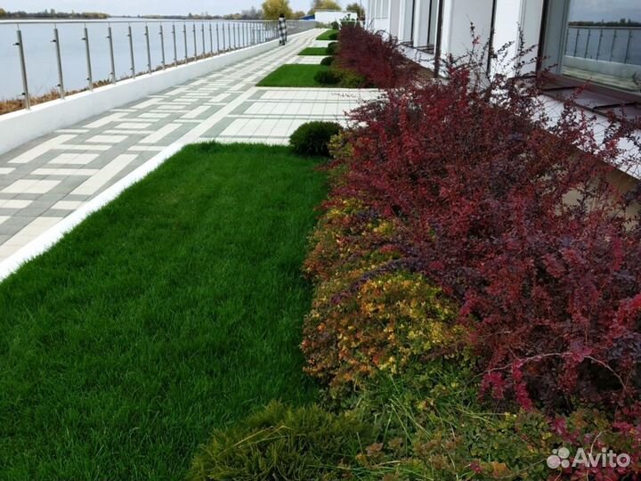 Монтаж и обслуживание автополива,монтаж автополива