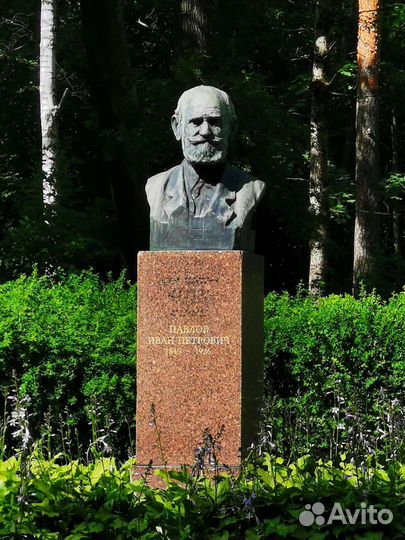 Плакат по биологии