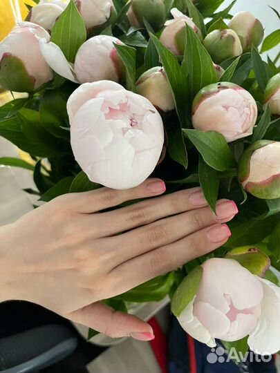 Пионы/Розы/ 9/15/21/51/101/ Балашиха