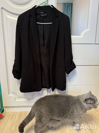 Женские вещи 42 44 zara