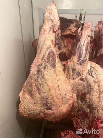 Мясо говядины(Халял)