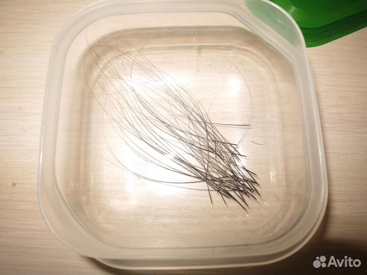 Кошачьи усы