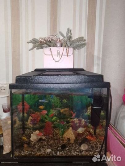 Аквариум с рыбками