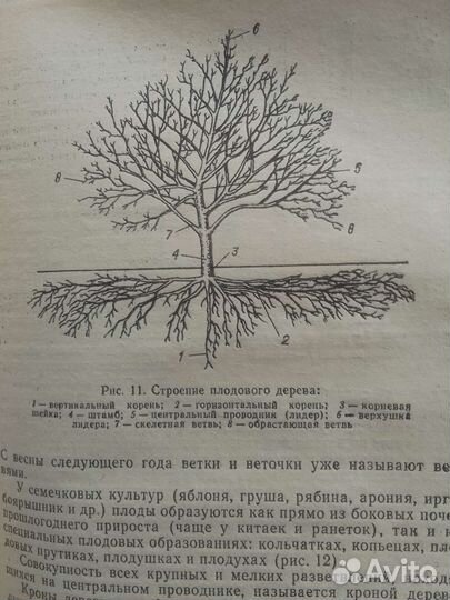Книги по садоводству