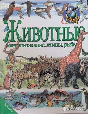 Детская энциклопедия