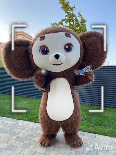 Чебурашка аниматор с моментальным фото