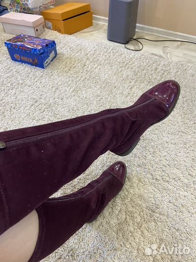 Сапоги весна осень