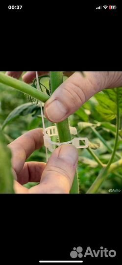 Клипса для подвязки растений