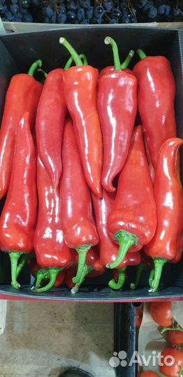 Перец сладкий очень вкусный бесплатная доставка