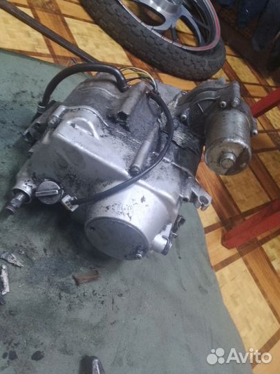 Мопеды альфа 110 кубов бу