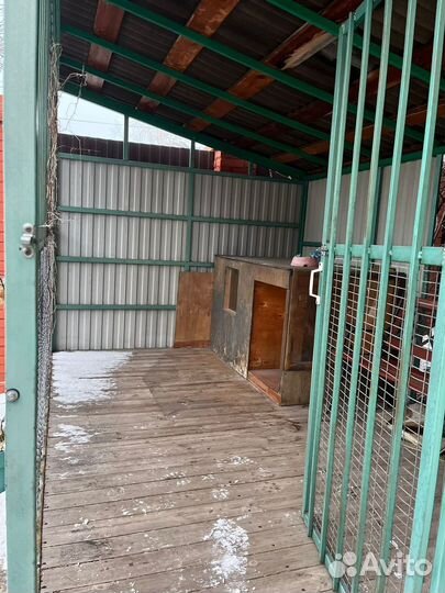 Вольер для собак уличный