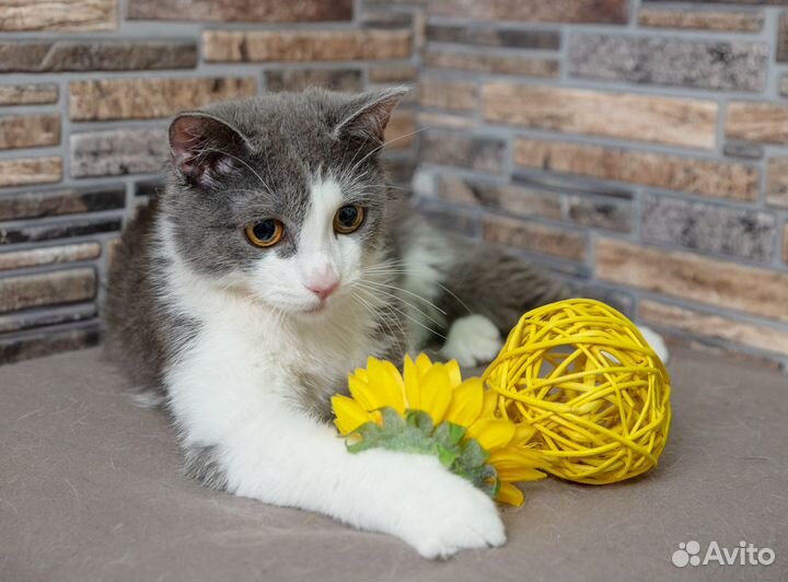 Родику нужна Мама и забота