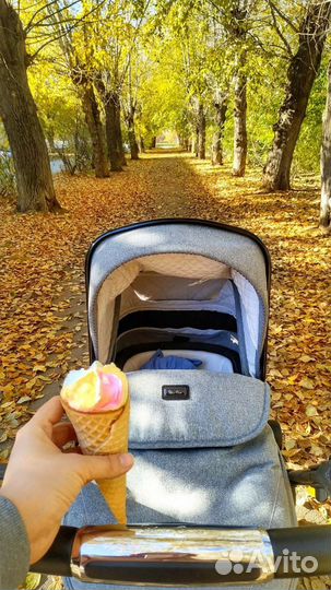 Коляска Silver Cross Pioneer Special edition