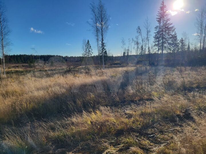 Участок 12 сот. (СНТ, ДНП)