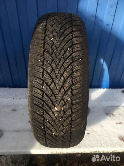 Roadmarch Winter XPro 888 195/55 R16