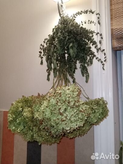 Гортензия сухоцветы букет