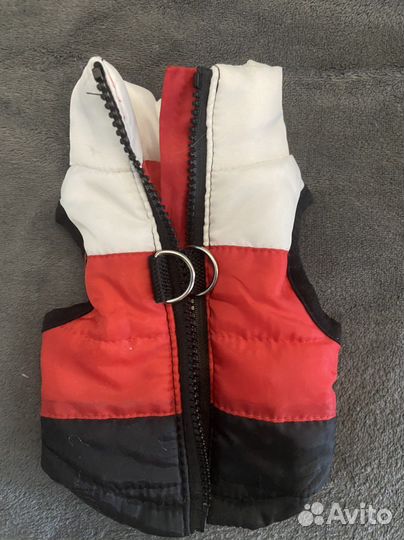 Одежда для собак