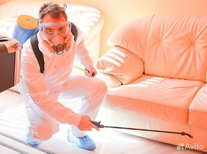 Средство для Уничтожения клопов, тараканов, крыс Дезинфекции