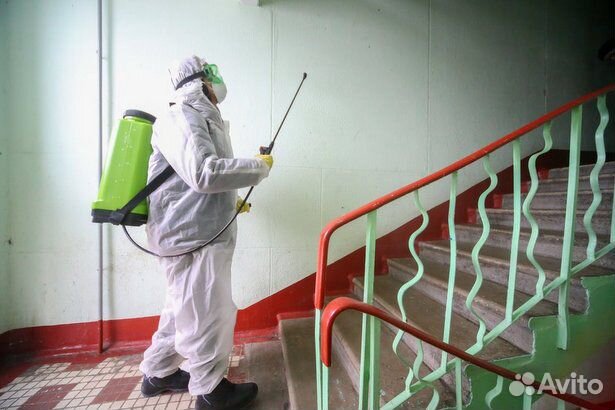 Дезинфекция Дезинсекция Дератизация