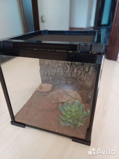 Террариум для рептилий бу