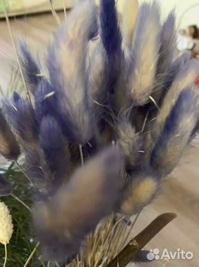 Стабилизированные цветы