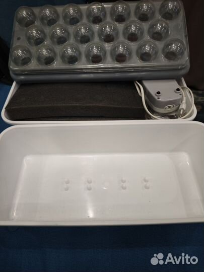 Чудо грядка домашняя