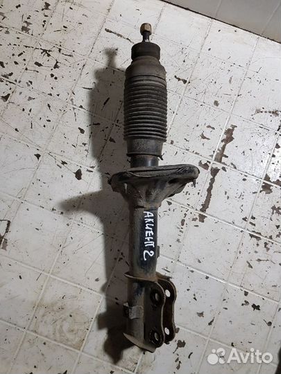 Амортизатор передний Hyundai Accent 2006 1.5 МКПП