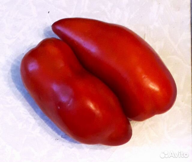 Семена сортовых томатов