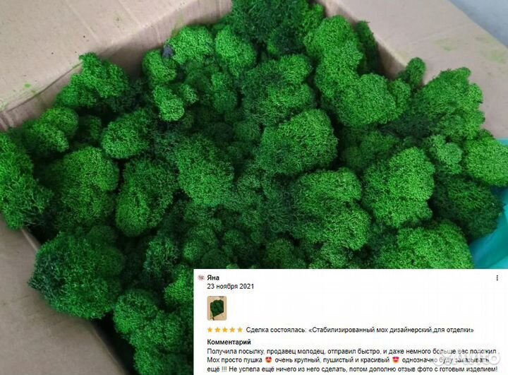 Стабилизированный мох ягель, интерьер декор