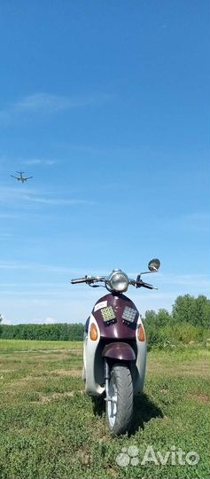 Suzuki lets 4 pallet