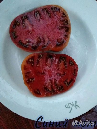 Коллекционные семена сорта томатов помидоров