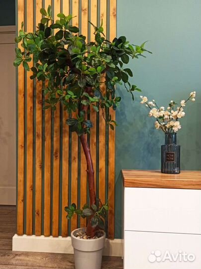 Искусственное дерево шефлера