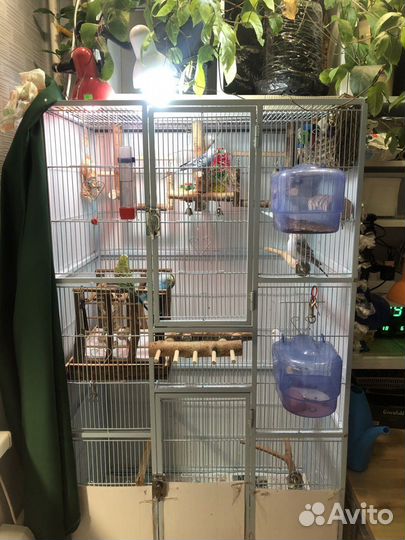 Клетка triol 5005, волнистые попугаи,корм,игрушки