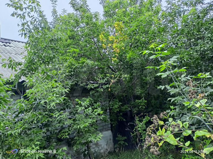 Дом 65 м² на участке 15 сот.