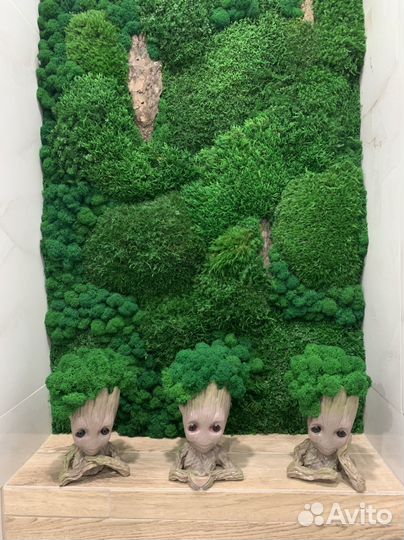 Стабилизированный мох панно, кашпо, ниши