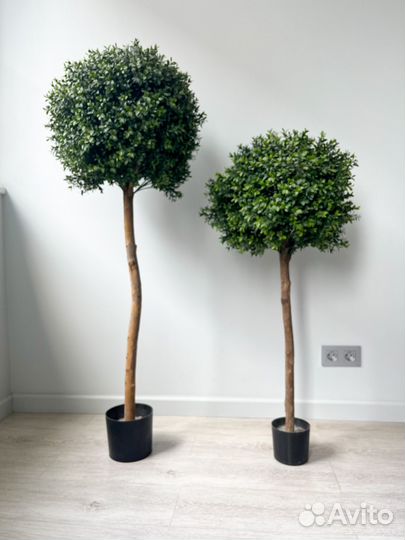 Продам самшит искусственное дерево 2 шт