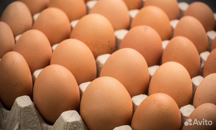 Продаю фермерское яйцо