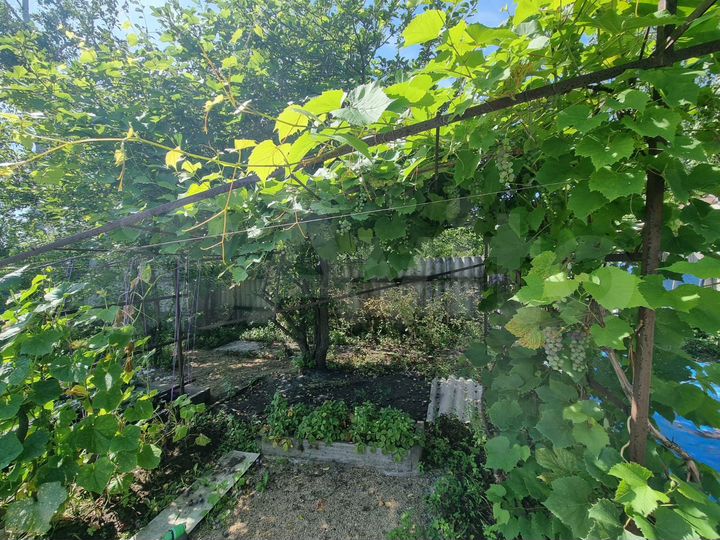 Дом 53,3 м² на участке 13,6 сот.