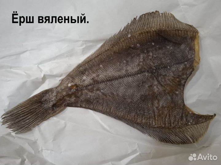 Сл/с,х/к форель,скумбрия,палтус,ёрш,мойва,сельдь